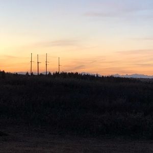 Meet your Posher, Tsogt